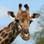 gejiaxiang/TestPublicProject